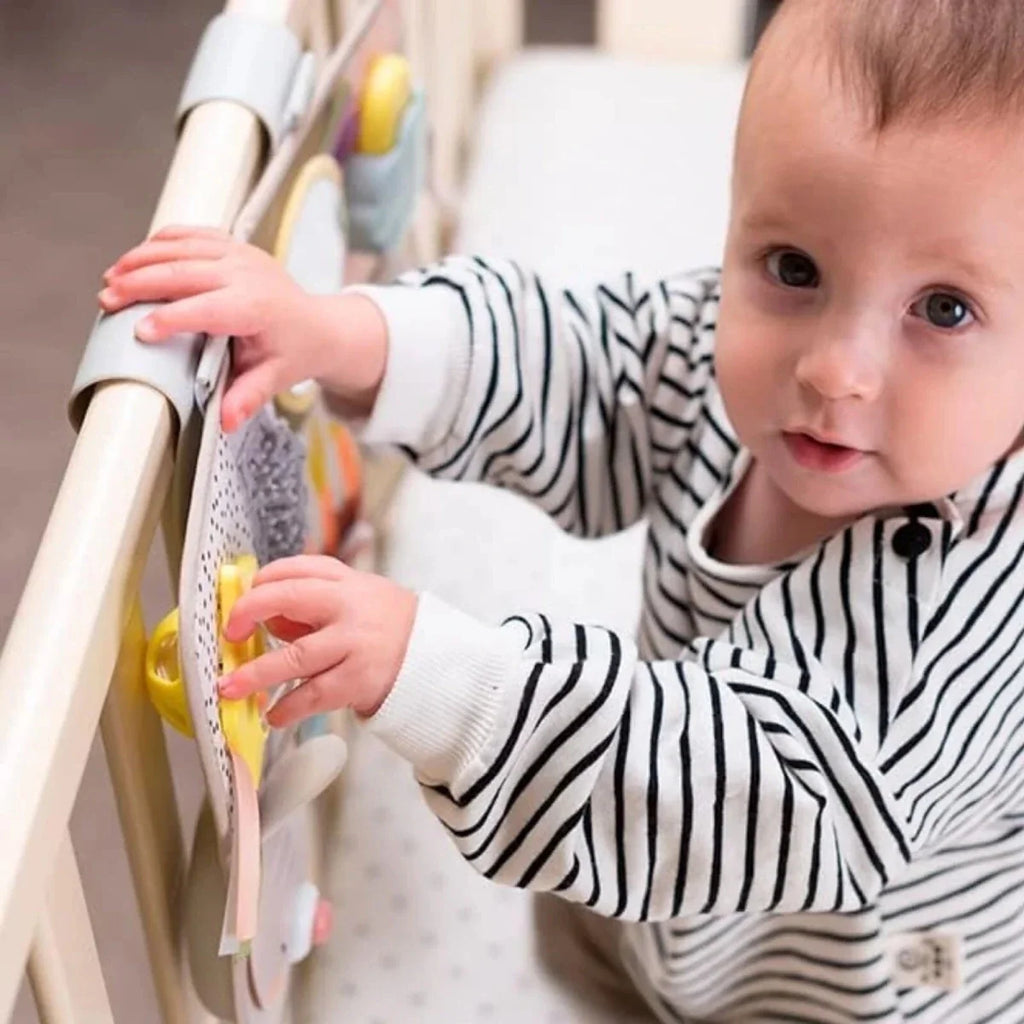 Taf Toys Developmental Activity Centre Book