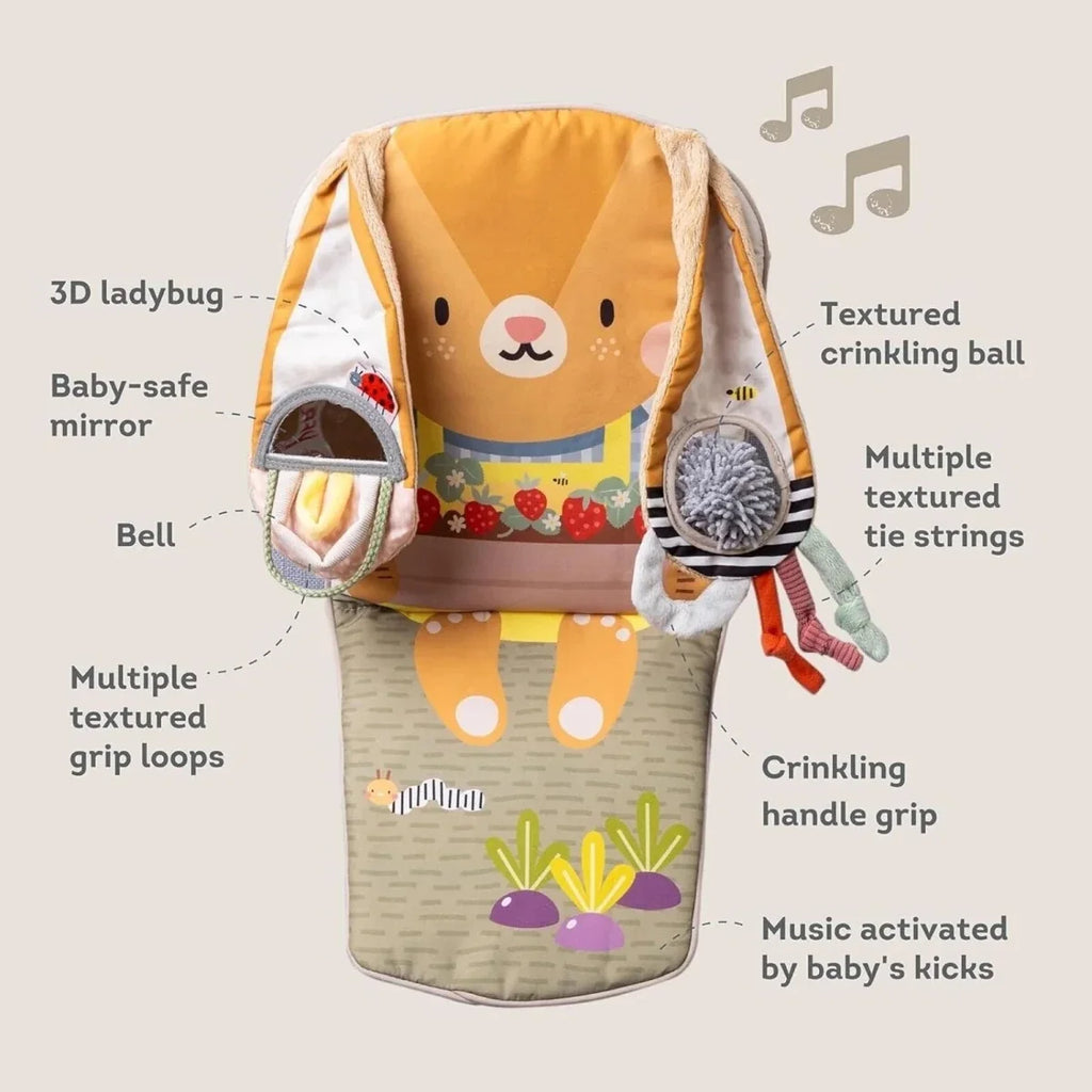 Taf Toys Bunny Play & Kick Car Toy