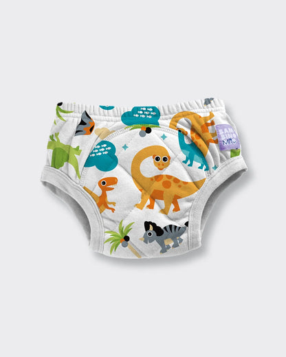 NEW Reusable Potty Training Pants with Cross-Stitch
