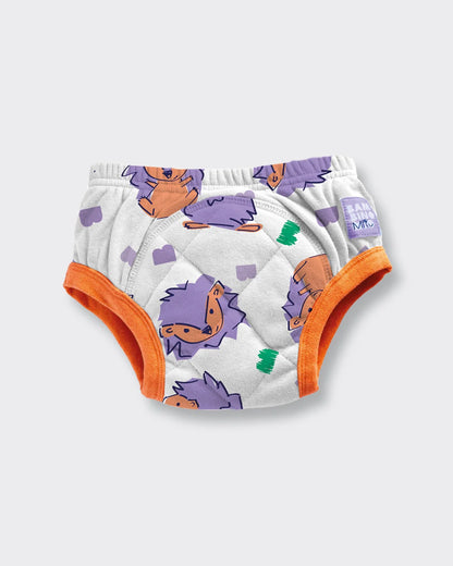 NEW Reusable Potty Training Pants with Cross-Stitch