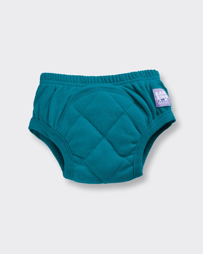NEW Reusable Potty Training Pants with Cross-Stitch