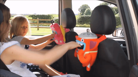 Tidy Freaks Gimi Car Bin - Little Lug