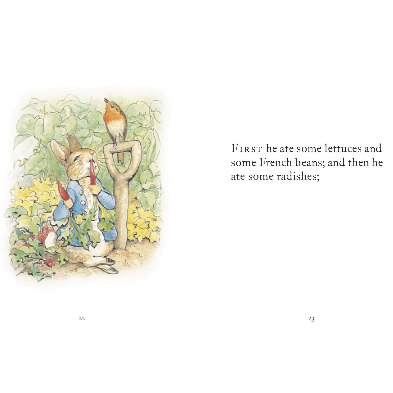 Peter Rabbit The Tale of Peter Rabbit