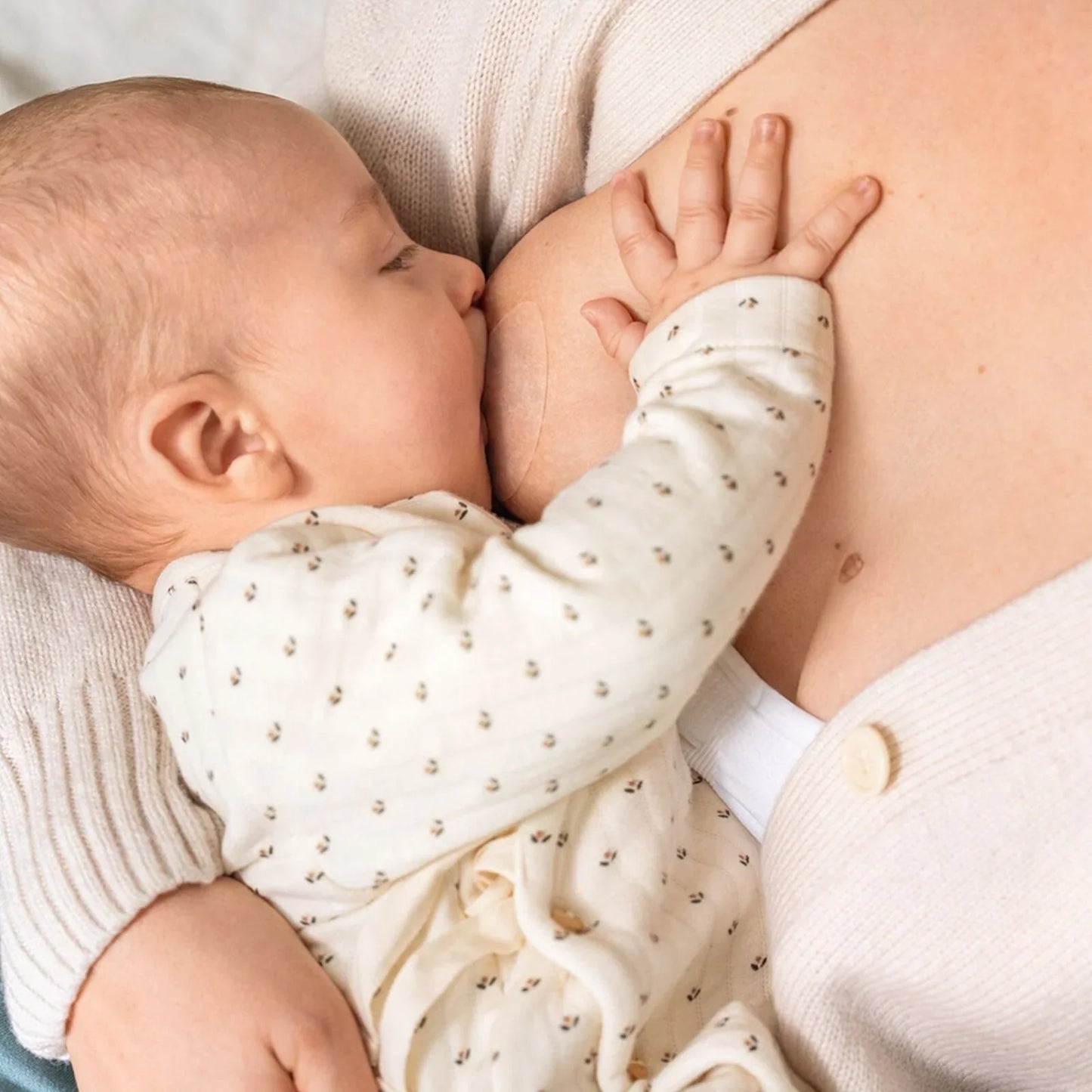 Medela Contact Nipple Shields (L) with Case Pack of 2