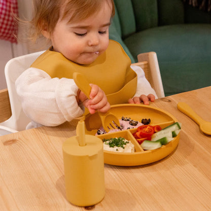 Silicone Baby Weaning Bib