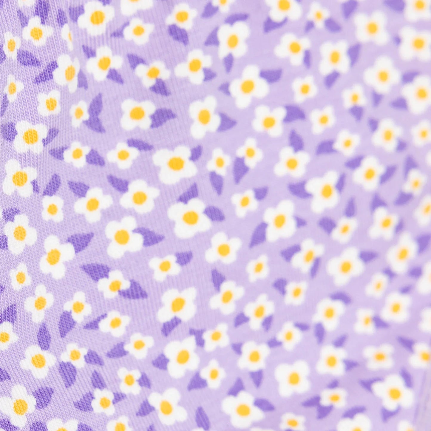 HelloBaby Baby Girl Underwear - Purple