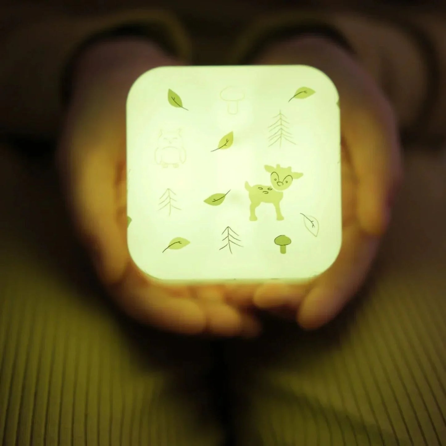 Cloud.b Cube B - Forest