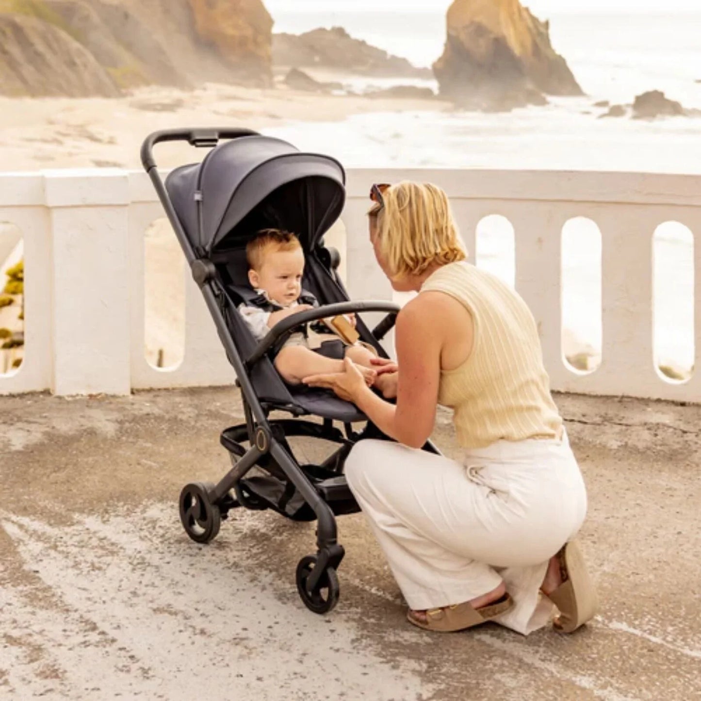 egg Sky® Stroller - Ink