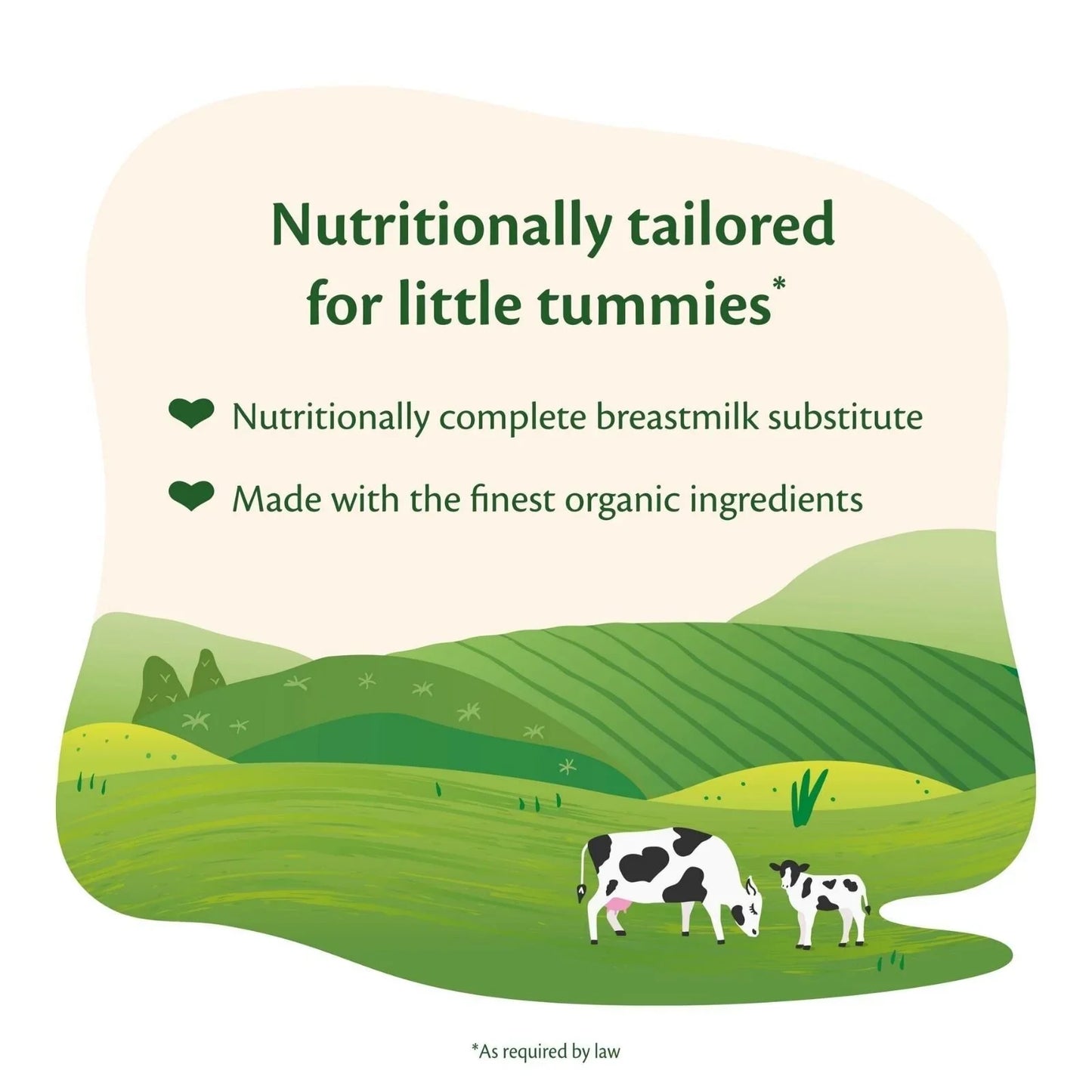 HiPP Organic 1 First Infant Baby Milk Formula from Birth 800g