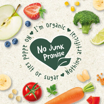 Organix Gruffalo Blackcurrant Fruit Bar 12+ months 102g (6x17g)