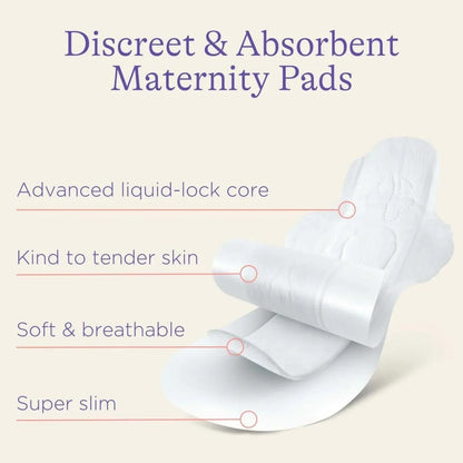Lansinoh Discreet & Absorbent Maternity Pads for 2+ weeks Postpartum 12 pcs
