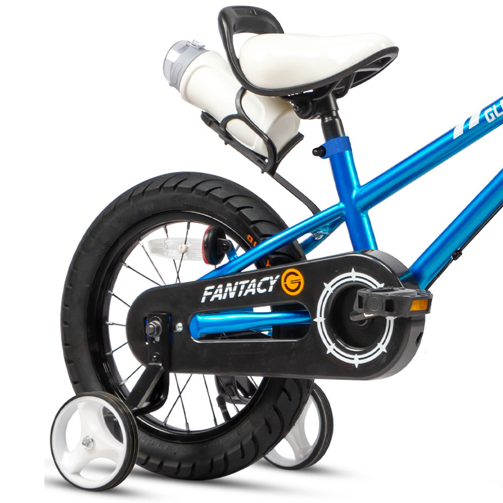 Glerc 16 Inch Kids Bike with Water Bottle - Fantacy