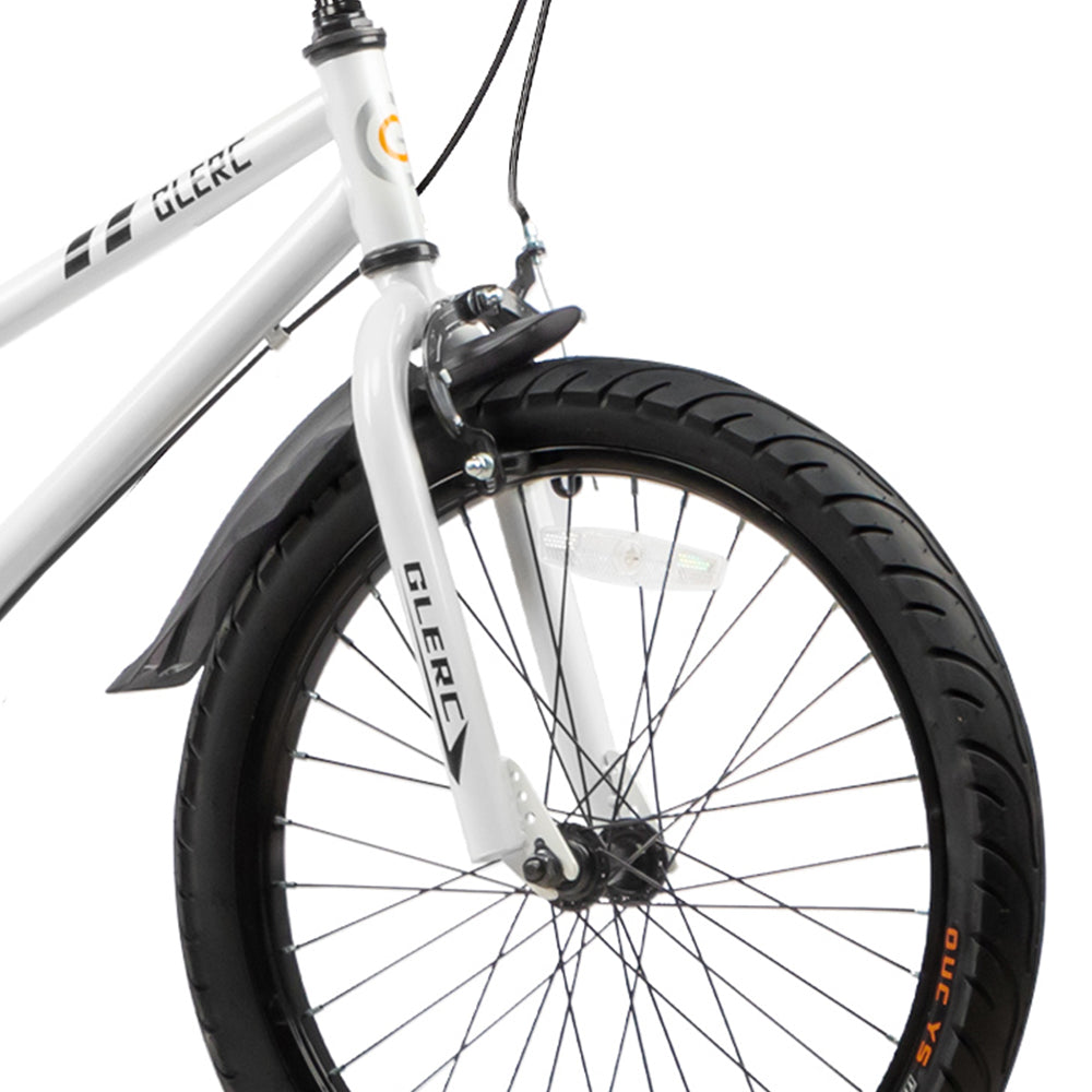 Glerc 20 Inch Kids Bike with Water Bottle - Fantacy