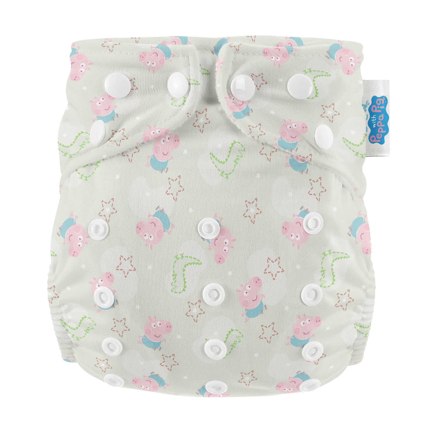 Peppa Pig One Size All-In-One Reusable Cloth Nappy - George Pig | Sage