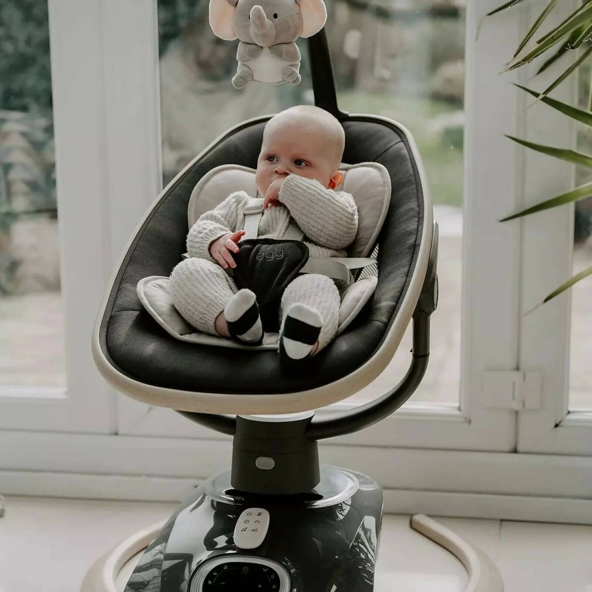 egg® Smart Home Motion Rocker - Carbonite